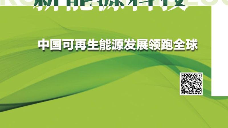 新能源电瓶批发报价，如何避开价格陷阱？**